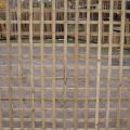 Pressure Treated Green Trellis