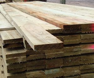 1.8m 22mm x 100mm treated