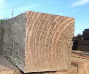 2.4m 75mm x 75mm TREATED TRADE