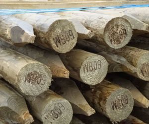 5'6 2-3"  rustic stakes