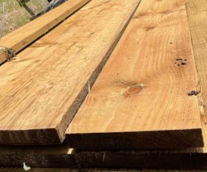 4.8m 38mm x 225mm treated